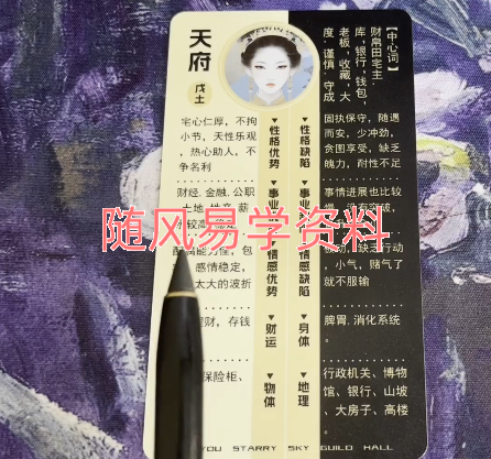 悠悠  紫微牌挂视频23集